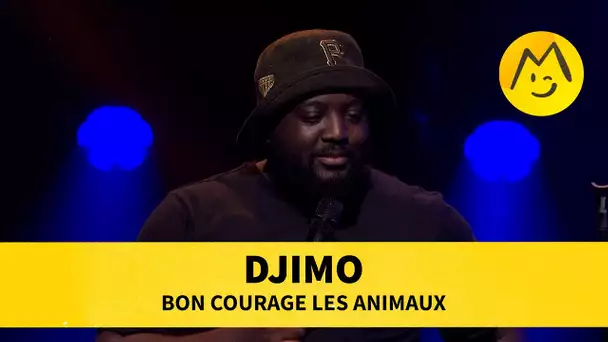 Djimo - Bon courage les animaux