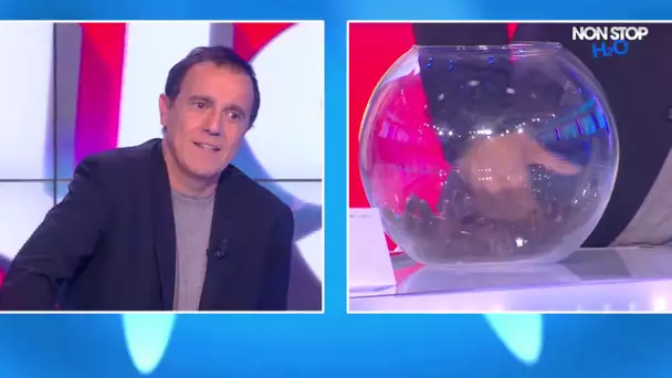 Thierry Beccaro plonge sa main dans un bol de cafards (Vidéo)