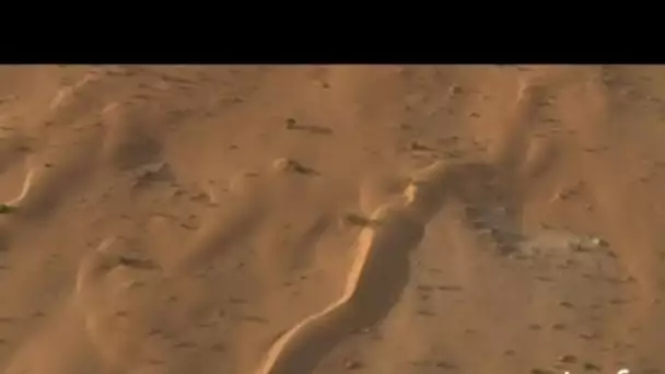 Mauritanie : vent de sable dans le désert