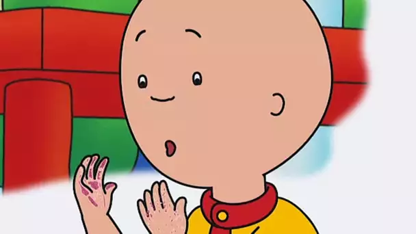 Des Paillettes Partout | Caillou en Français