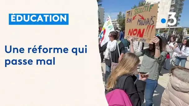 Réforme de l'éducation : mobilisation contre les groupes de niveau