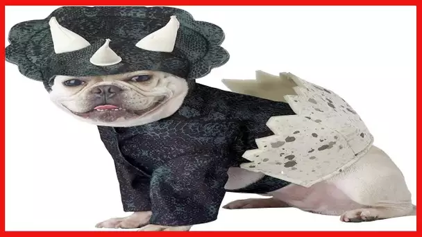 Dog Dino Pup Costume Large