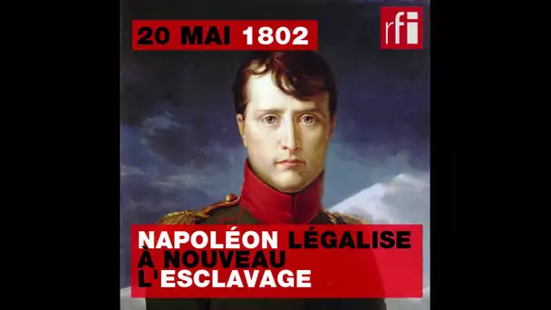 20 mai 1802 : Napoléon légalise à nouveau l'esclavage