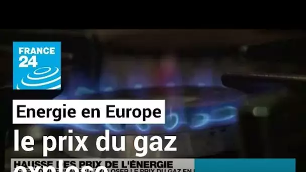 Energie : le froid hivernal fait exploser le prix du gaz en Europe • FRANCE 24
