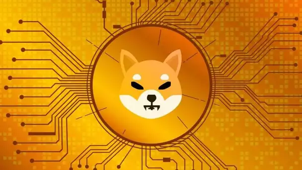 Attention, les Shiba Inu sont la cible de tentatives d'escroquerie