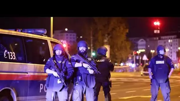Fusillade "terroriste" à Vienne : six lieux différents visés, au moins deux morts dont un suspect