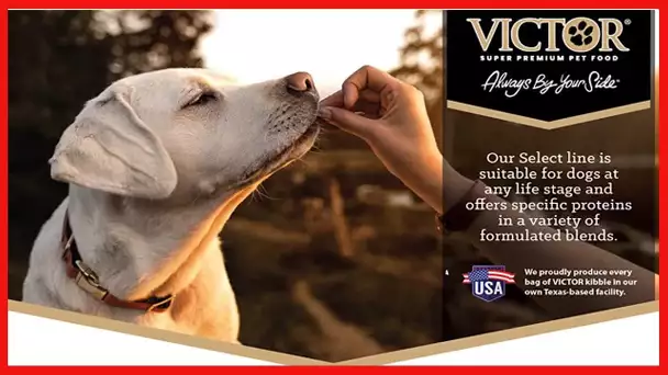 VICTOR Super Premium Dog Food – Select - Beef Meal & Brown Rice Formula – Gluten Free Beef Meal Dry