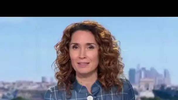 Marie-Sophie Lacarrau : Coup dur pour la journaliste du JT de 13h de TF1, sa triste annonce...