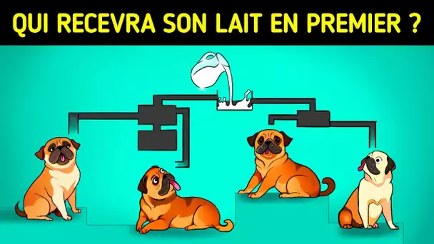De Nouvelles Énigmes Impossibles que Vous Seul Pouvez Résoudre