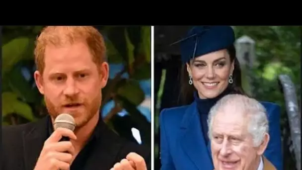 Le prince Harry ne sera rejoint par aucun « Royals senior » ni par Meghan Markle lors de l'événement