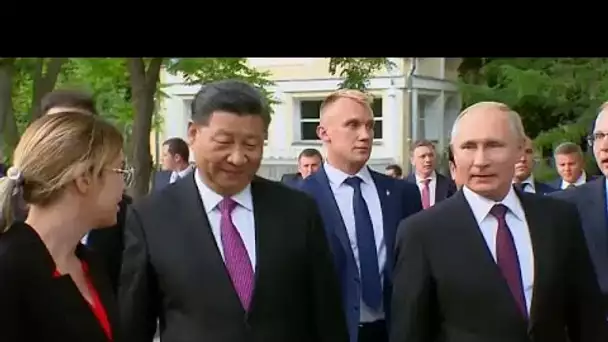 Vladimir Poutine invite son homologue chinois à voir des pandas