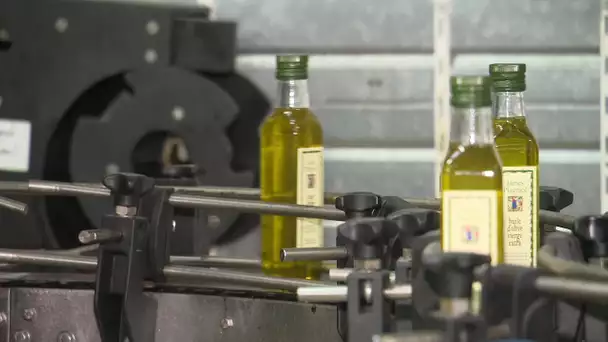 Noyers-sur-Cher : visite de l'entreprise "Compagnie des saveurs"