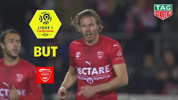 But Renaud RIPART (61') / Nîmes Olympique - FC Metz (1-1)  (NIMES-FCM)/ 2019-20