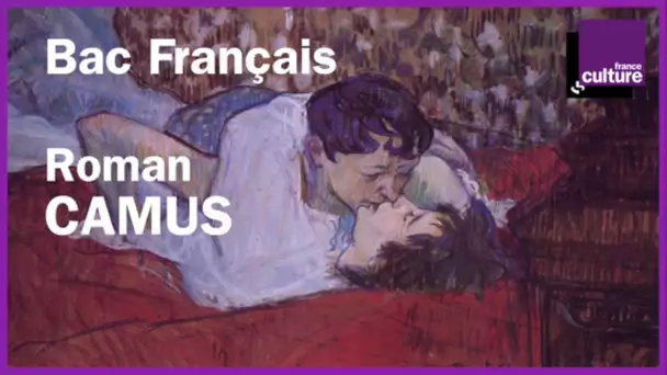 BAC FRANÇAIS révisions - Camus (roman)