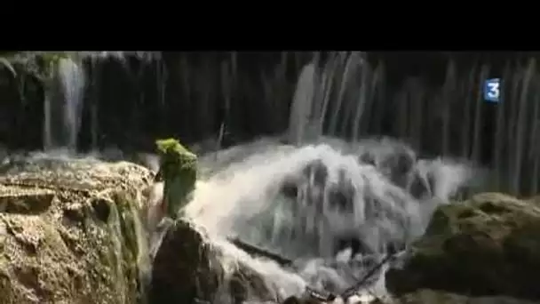 Les castors font des dégâts, à Monthou-sur-Cher