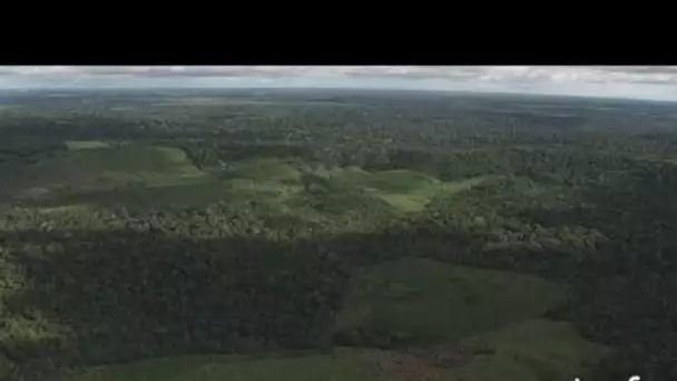 Brésil : forêt amazonienne, route et champs