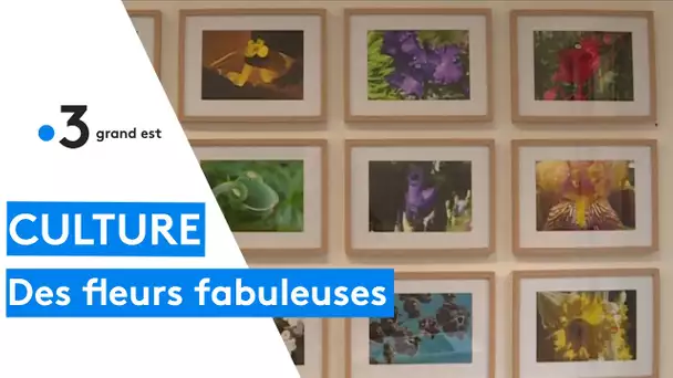 "Fleurs fabuleuses", l'exposition de deux artistes alsaciens