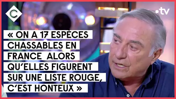 Invités : Arnaud Montebourg, Allain Bougrain-Dubourg, Victor Belmondo - C à Vous - 26/10/2021