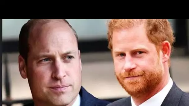 Le chagrin commun du prince William et de Harry face au cancer du roi Charles pourrait « les aider