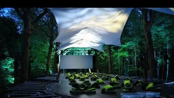 EPIC - Projection exceptionnelle dans les arbres HD