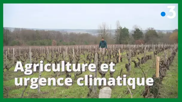Agriculture et défi climatique, comment réduire son impact carbone ?