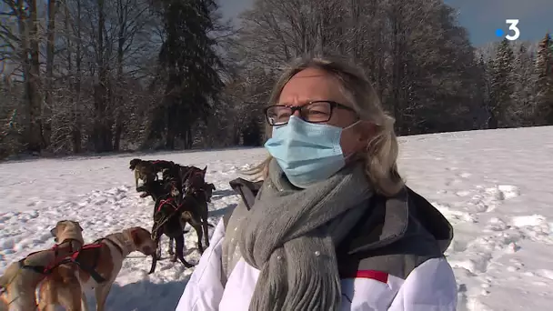 Chiens de traîneau, une activité qui fait le plein en cet hiver sans remontées mécaniques