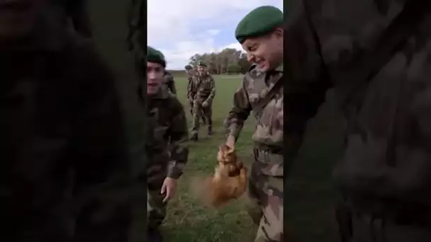 La poule au pot version légionnaire