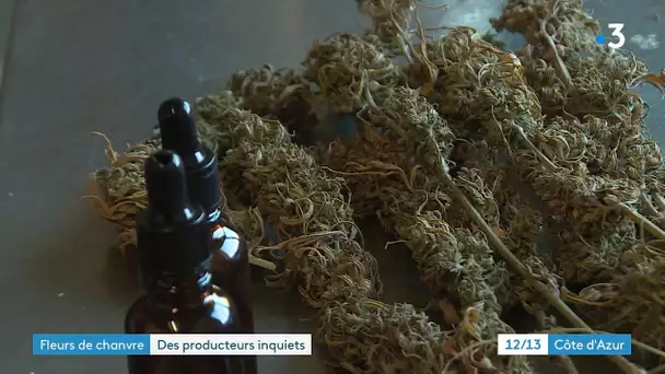 Fréjus : l'interdiction du #CBD touche une productrice de chanvre.