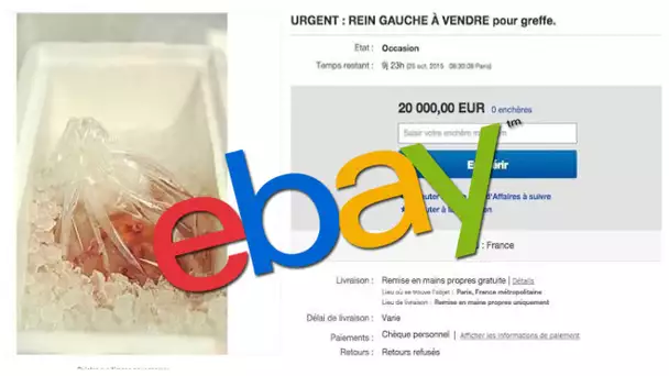 ELLE VEND SON REIN GAUCHE SUR EBAY POUR 20 000 EUROS