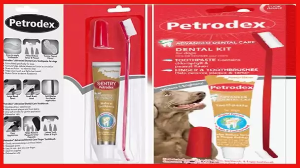 Petrodex Enzymatic Toothpaste and Brushes for Dogs, Pet Dental Care, Various Flavors & Sizes