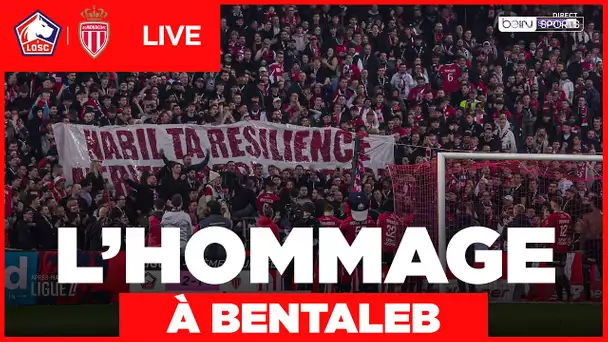 🙌 Le vibrant hommage du KOP lillois pour Nabil Bentaleb !
