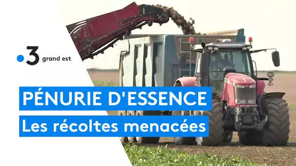 Essence : des agriculteurs inquiets face à la pénurie de carburant, les récoltes sont menacées