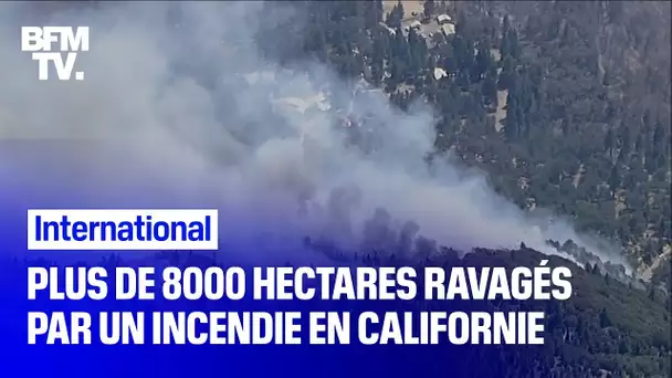 Plus de 8000 hectares ravagés par un incendie en Californie