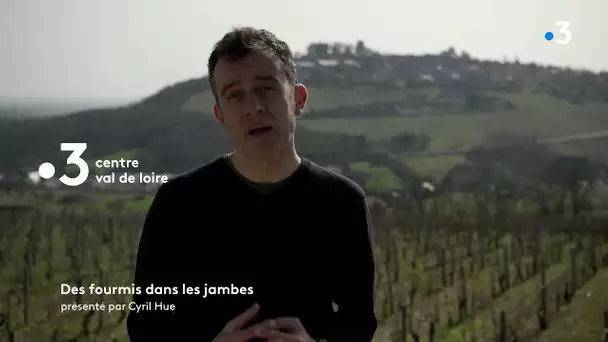 Des Fourmis dans les jambes, épisode 11 diffusé le dimanche 4 mars à 12.55