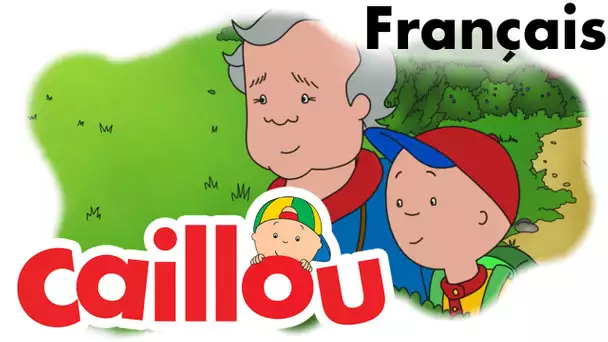 Caillou FRANÇAIS - Pointe aux bleuets (S05E21) | conte pour enfant | Caillou en Français