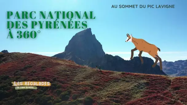 Au cœur du Pars national des Pyrénées : le Pic Lavigne en vallée d'Ossau