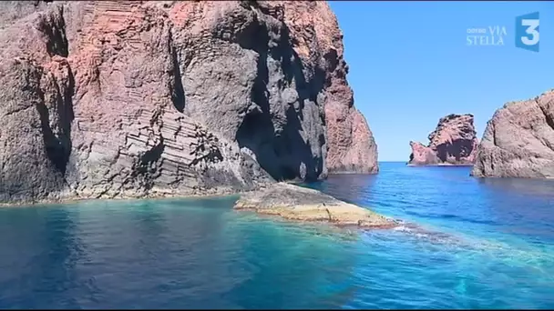 De Scandola à Bonifacio : à la découverte des plus beaux sites marins de Corse - Scandola