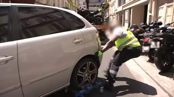 La fourrière parisienne et ses doigts de fée