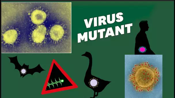 Vous avez déjà eu un coronavirus, mais voici pourquoi celui-ci inquiète tant