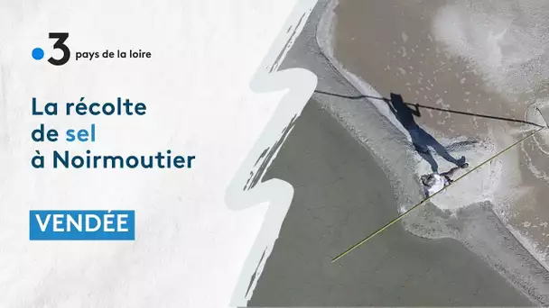 Vendée : la récolte de sel à Noirmoutier