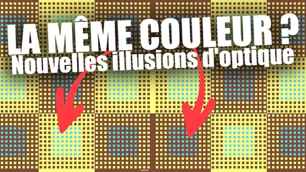 UNE NOUVELLE FORME D&#039;ILLUSIONS D&#039;OPTIQUES