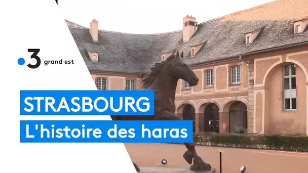 Strasbourg  : l'histoire des haras