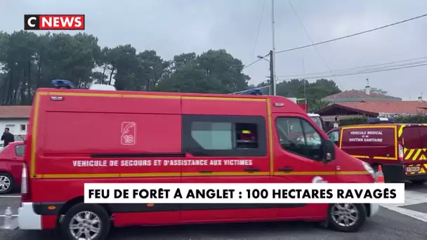 Feu de forêt à Anglet : 100 hectares ravagés