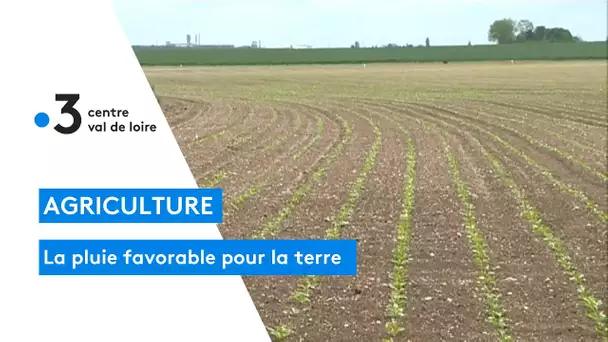 Agriculture : la météo à toute son importance, les pluies sont favorables