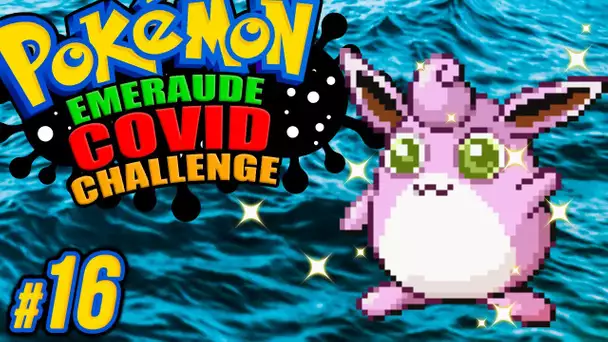 EVOLUTION EN PLEINE MER ! #16 - Pokémon EMERAUDE C🅾️VID CHALLENGE