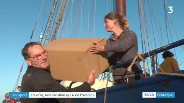 Le transport à la voile séduit de nouveaux affréteurs