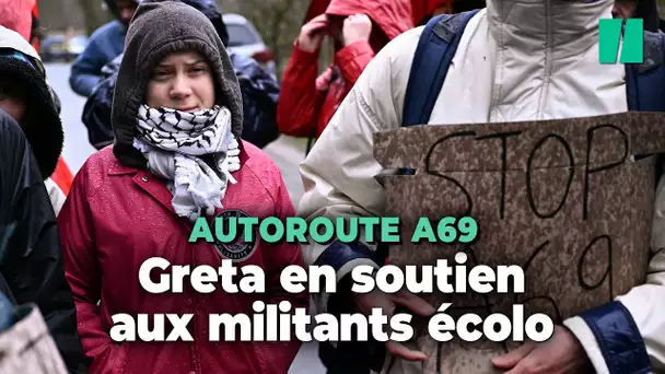 "C'est de la pure folie" : Les images du rassemblement anti-A69 avec Greta Thunberg