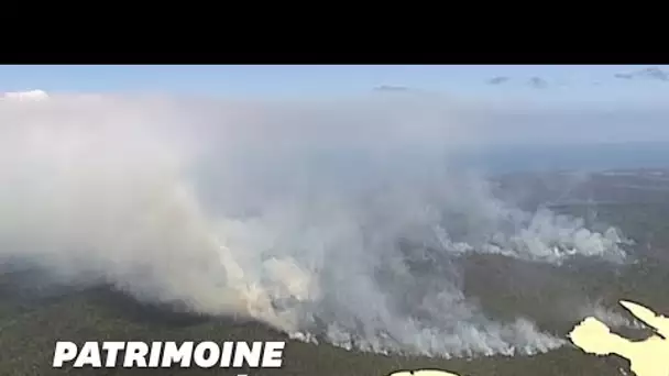 En Australie, les feux ravagent une île classée au patrimoine mondial
