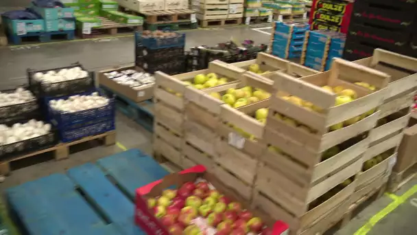 Distribution de fruits et légumes aux étudiants
