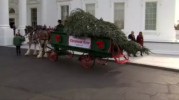 À 36 jours de Noël, le sapin a (déjà) été livré à la Maison Blanche 🎄